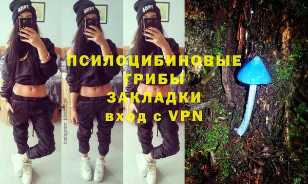 герыч Алексин
