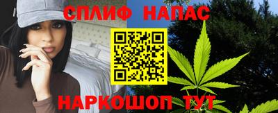гашик Ирбит