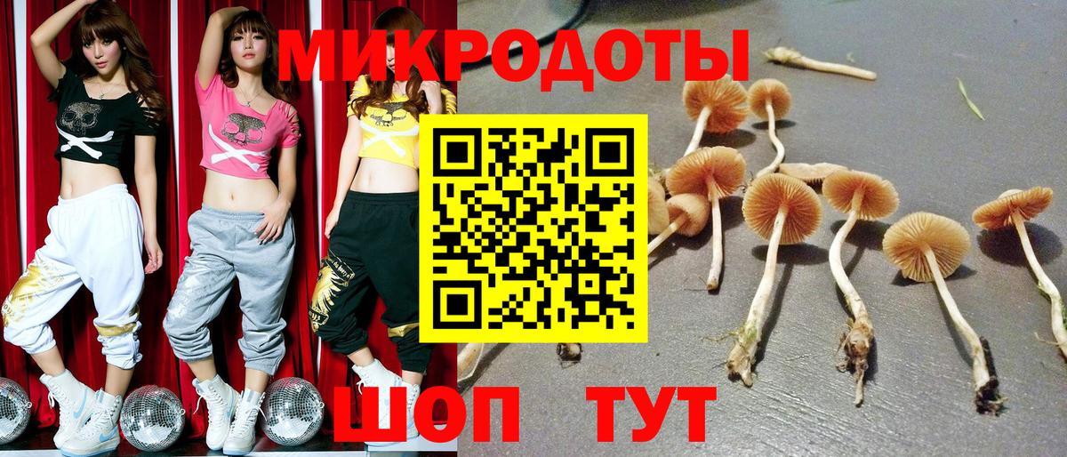 Псилоцибиновые грибы Magic Shrooms  Псилоцибиновые грибы прущие грибы  Урюпинск  Вход с VPN 